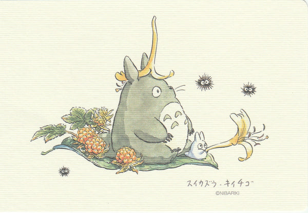 Buy My Neighbor Totoro: 30 Postcards by Studio Ghibli With Free